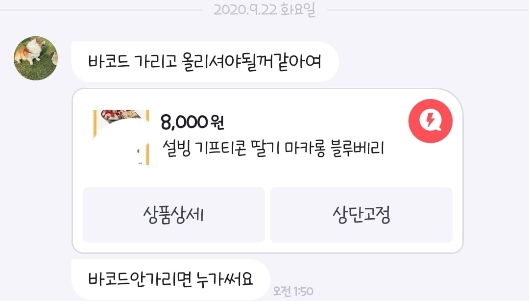 아 진짜 개똘추짓으로 인해 k-인류애 경험함 | 인스티즈