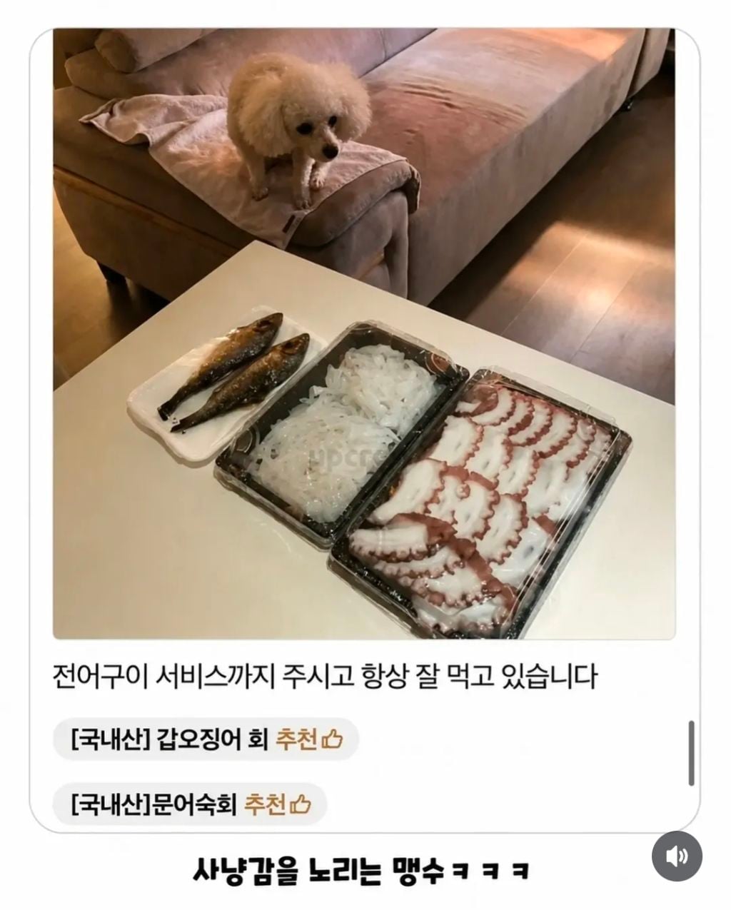 어느순간 리뷰에 강아지가 안 보여서 아쉬웠던 사장님.jpg | 인스티즈