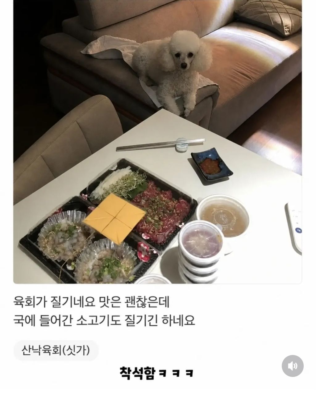 어느순간 리뷰에 강아지가 안 보여서 아쉬웠던 사장님.jpg | 인스티즈