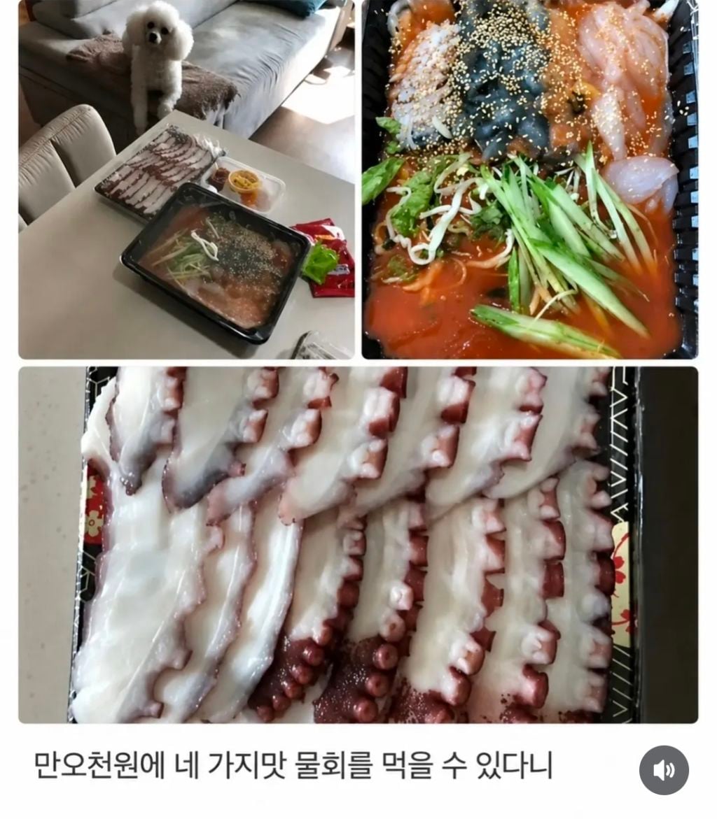 어느순간 리뷰에 강아지가 안 보여서 아쉬웠던 사장님.jpg | 인스티즈