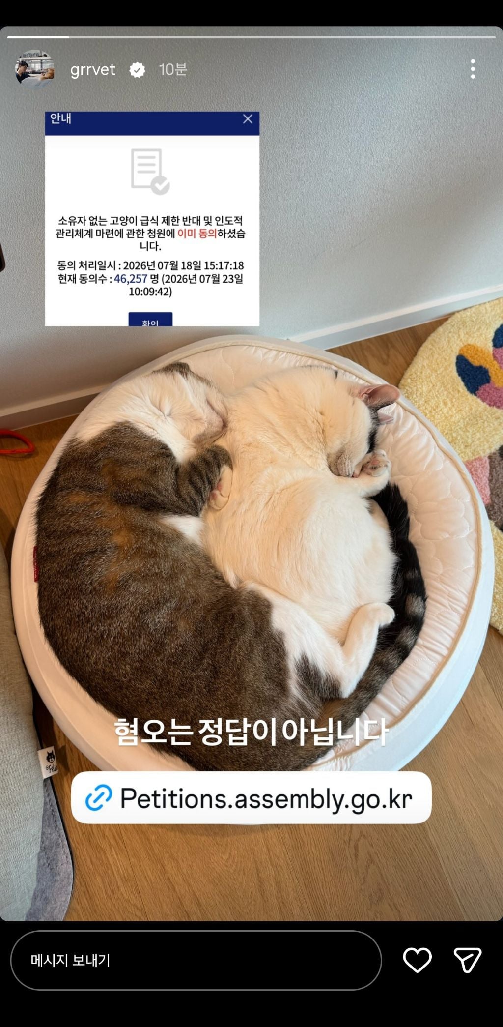 길고양이 급식제한 반대청원에 목소리 내준 사람들 | 인스티즈