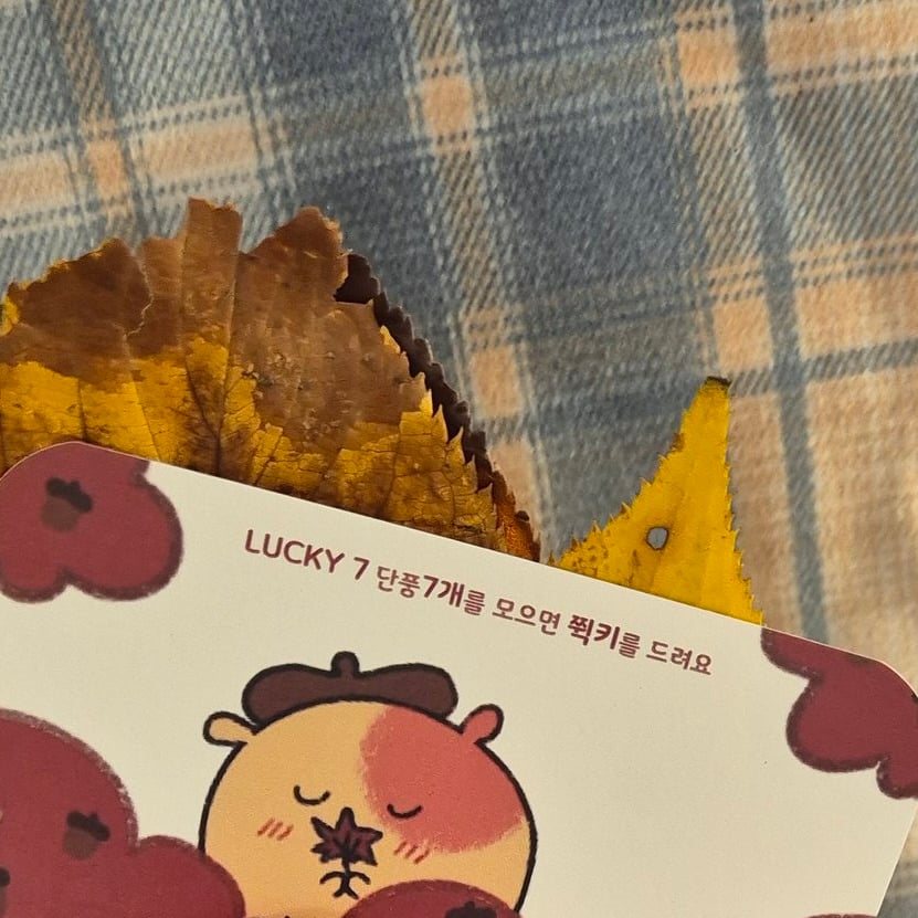 아 어케 우리 쿠폰이 음료 한잔 당 단풍잎 펀칭 1개인데 7잔 드심 쿠키 하나 서비스걸랑 ㅠㅠㅠㅠ | 인스티즈
