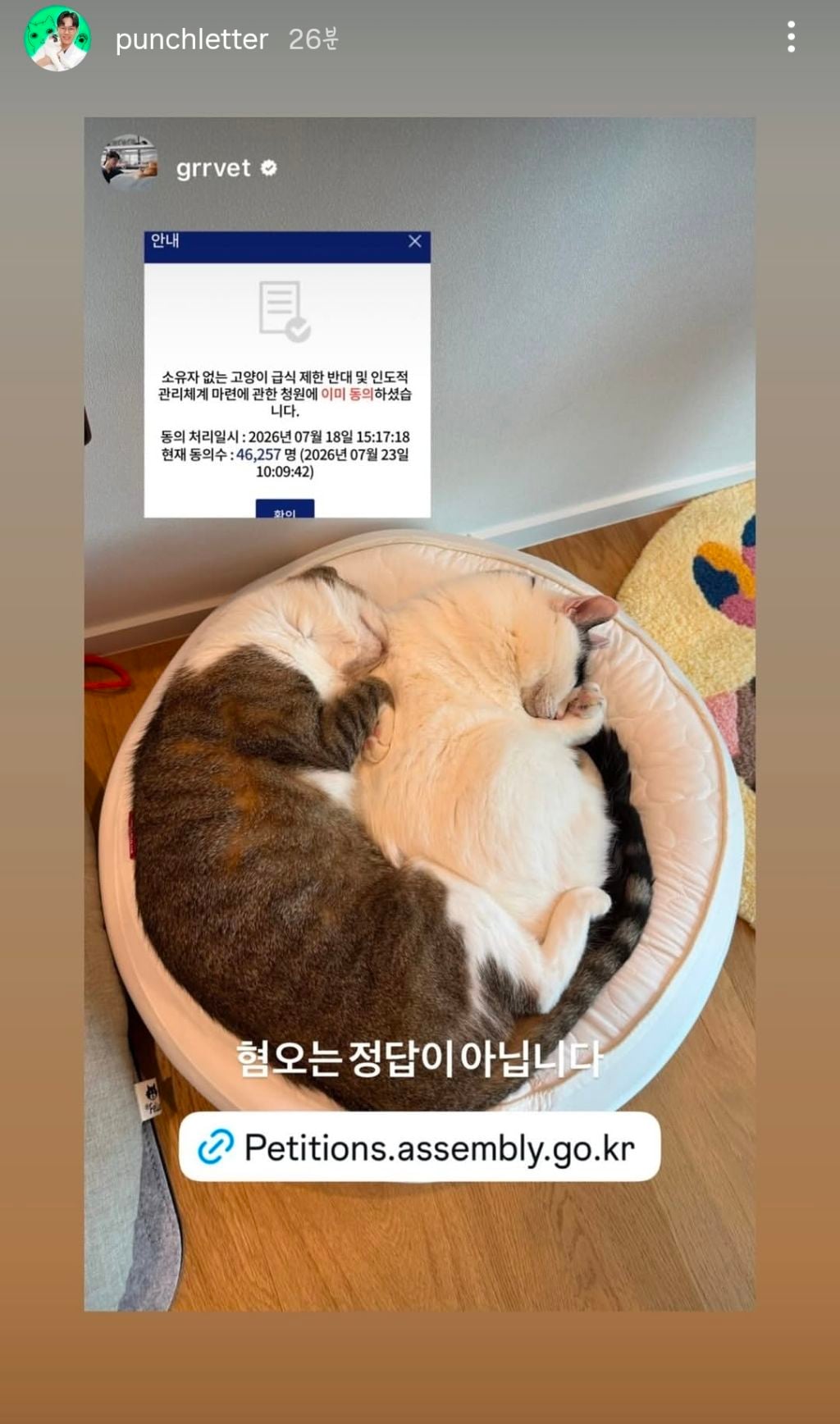 길고양이 급식제한 반대청원에 목소리 내준 사람들 | 인스티즈