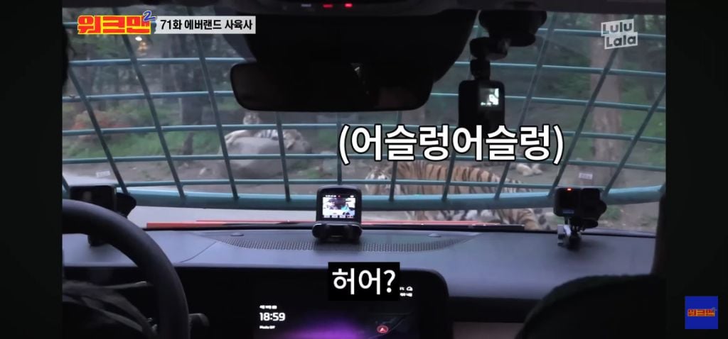 정말 무서운 소리를 정말 해맑게하는 에버랜드 사육사들 | 인스티즈