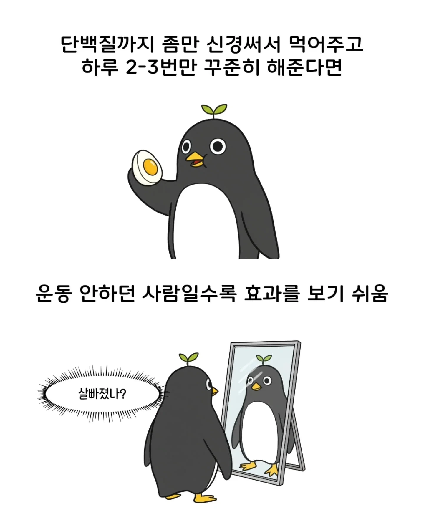 근력 운동 하는 법 : 헬스장 PT 심심한데 10개만 할까 ⭕ | 인스티즈