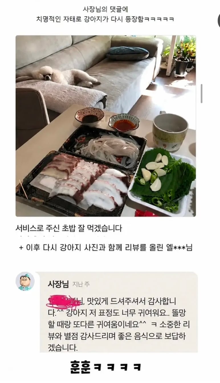 어느순간 리뷰에 강아지가 안 보여서 아쉬웠던 사장님.jpg | 인스티즈