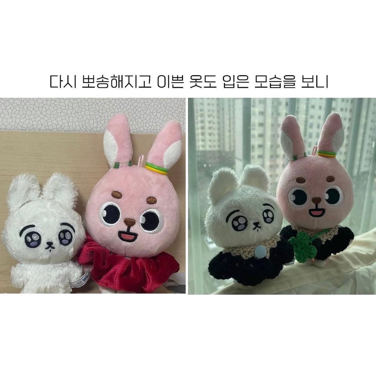 정국 인형을 임보 후 귀가시켜준 원필 팬 | 인스티즈