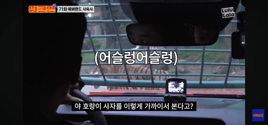 정말 무서운 소리를 정말 해맑게하는 에버랜드 사육사들 | 인스티즈