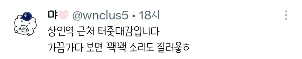 야 이거 꿈이지???? 대구 길거리에 오리있어.twt | 인스티즈