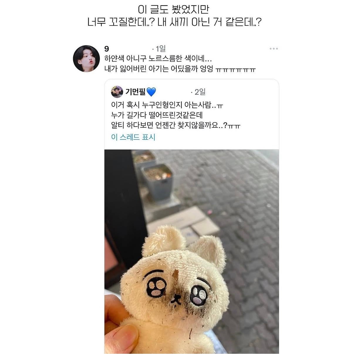 정국 인형을 임보 후 귀가시켜준 원필 팬 | 인스티즈