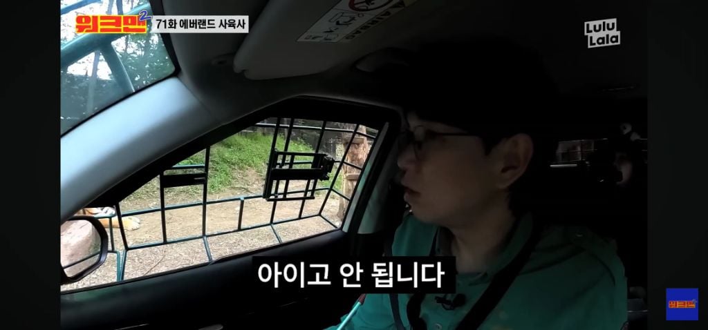 정말 무서운 소리를 정말 해맑게하는 에버랜드 사육사들 | 인스티즈