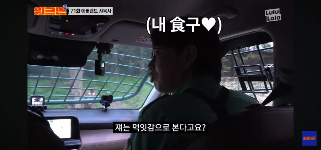 정말 무서운 소리를 정말 해맑게하는 에버랜드 사육사들 | 인스티즈