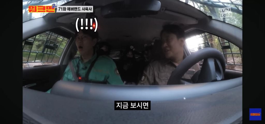 정말 무서운 소리를 정말 해맑게하는 에버랜드 사육사들 | 인스티즈