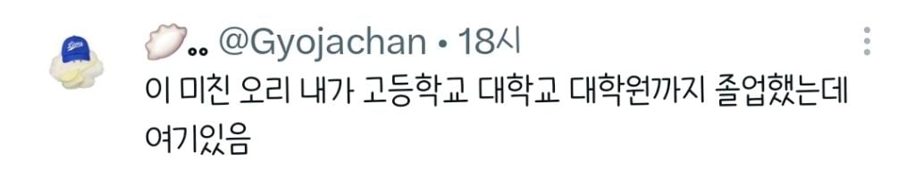 야 이거 꿈이지???? 대구 길거리에 오리있어.twt | 인스티즈