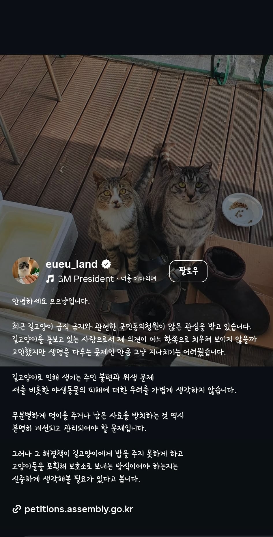길고양이 급식제한 반대청원에 목소리 내준 사람들 | 인스티즈