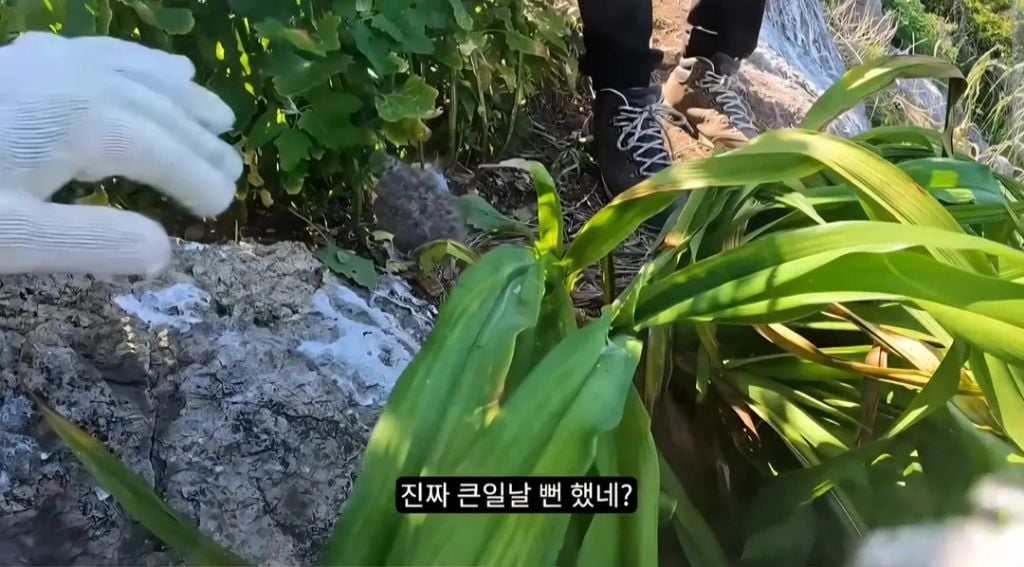 비전문가 유튜버 새덕후 촬영에 대한 이상한 의문점 | 인스티즈