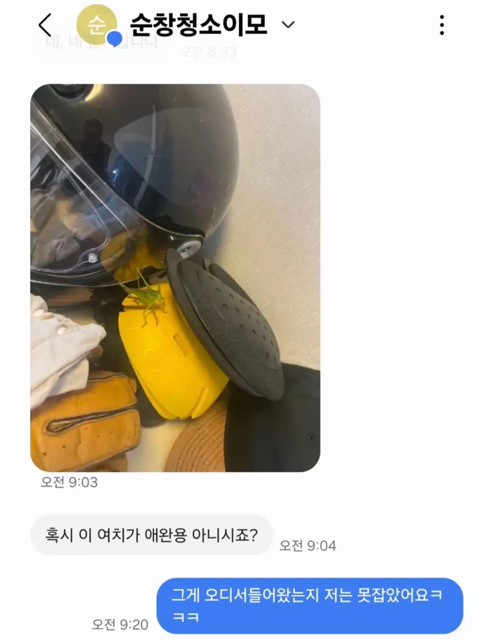 편견 없으신 청소 이모님.jpg | 인스티즈
