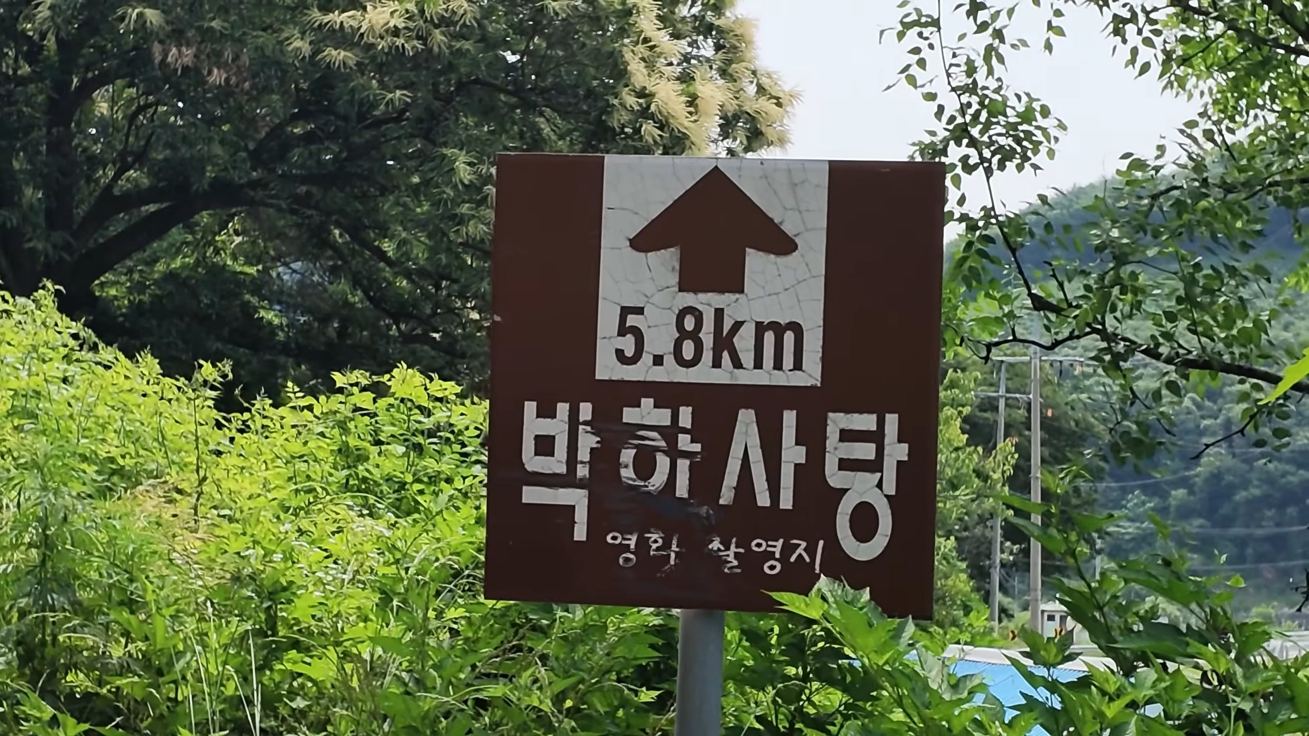 22살, 아이돌 그만두고 서울에서 제천까지 걷기 | 인스티즈