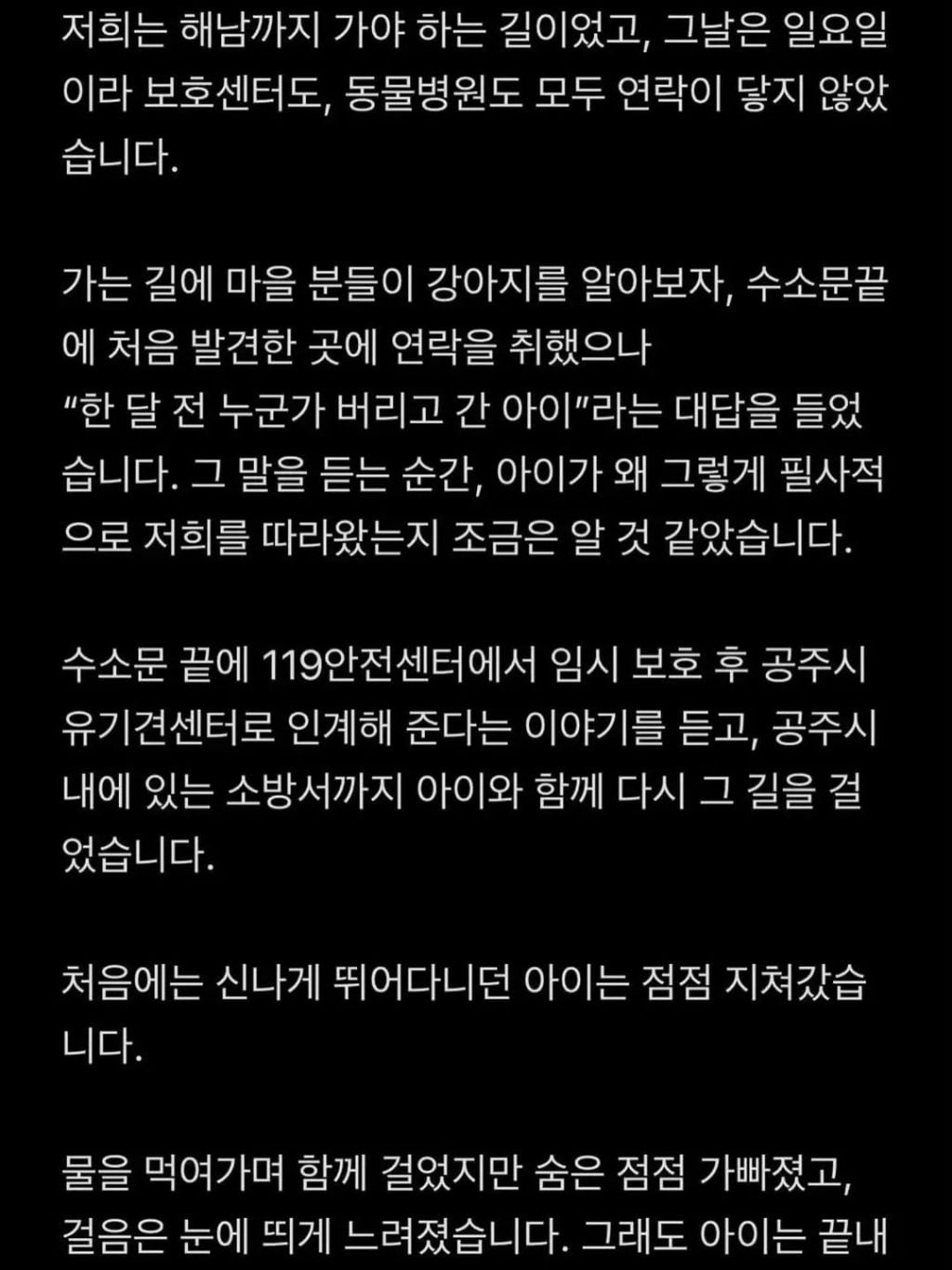 (입양홍보)주인에게 버려지고 지나가는 사람들을 놓치지 않으려 20km 넘게 따라온 강아지 | 인스티즈