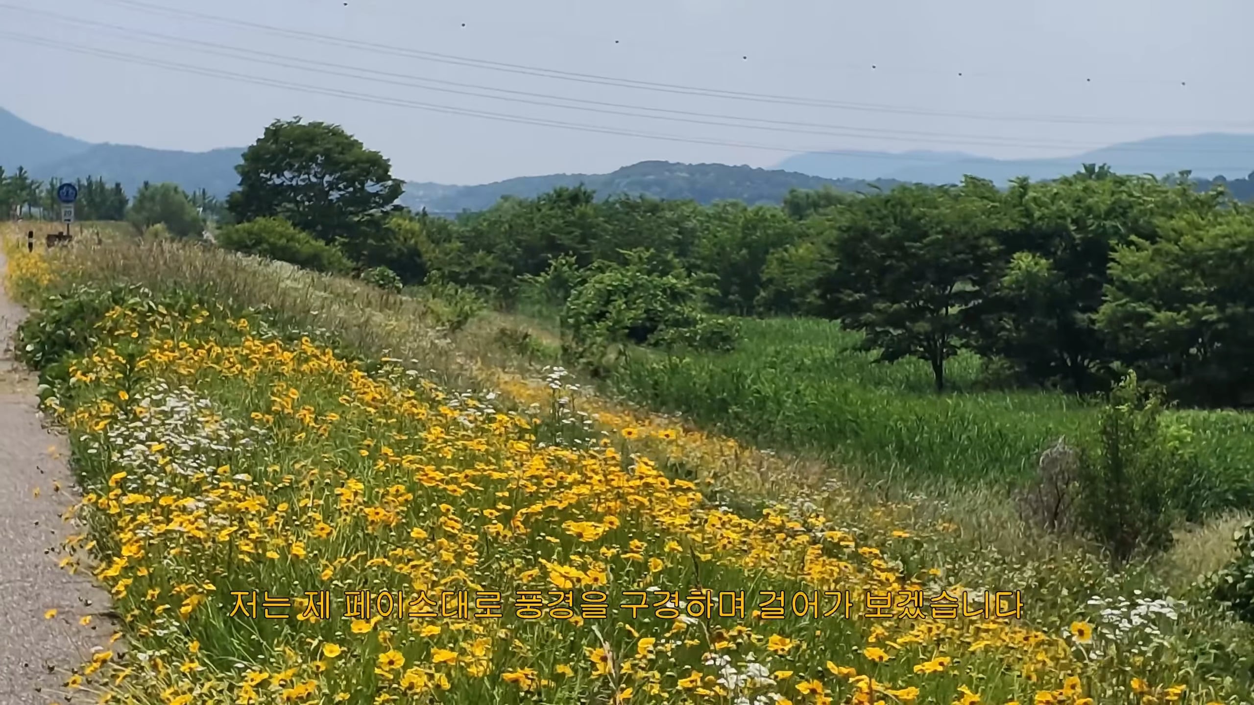22살, 아이돌 그만두고 서울에서 제천까지 걷기 | 인스티즈