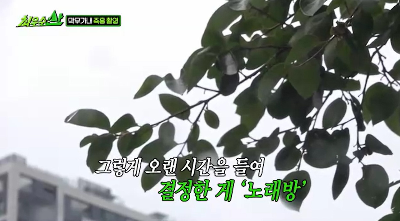 방송에서 즉흥촬영 했다가 대국민 사과한 개그맨들.jpg | 인스티즈