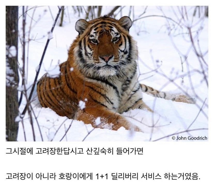 우리나라에 고려장이 있을수없었던 이유.jpg | 인스티즈