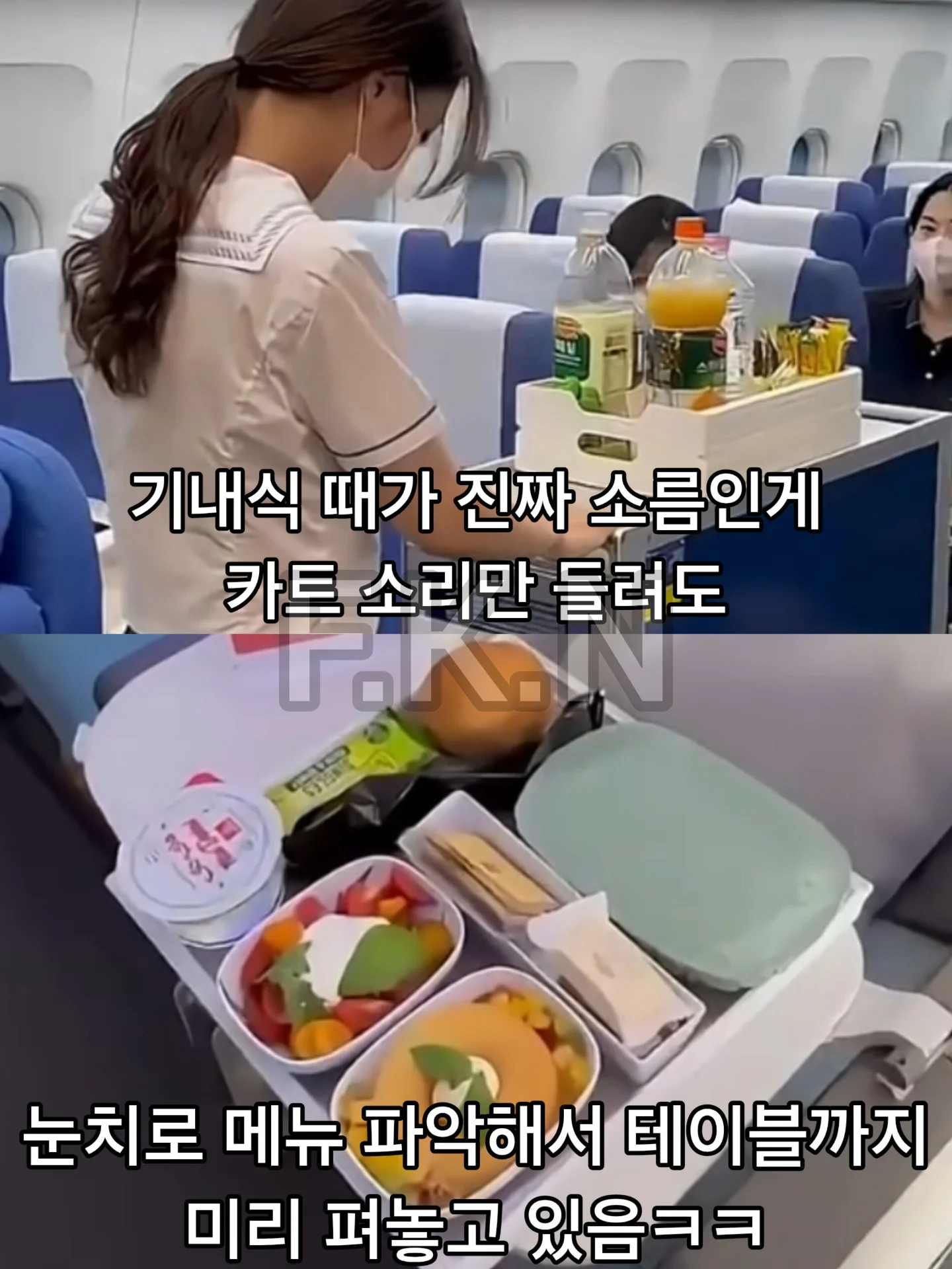 외국 승무원들이 뽑은 '가장 만만한 승객' 1위는 한국인 | 인스티즈