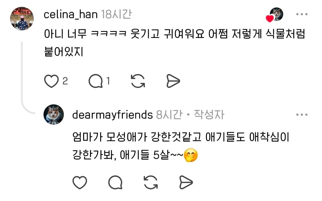 ctrl+v고등어 가족을 키우는 냥집사😽 | 인스티즈