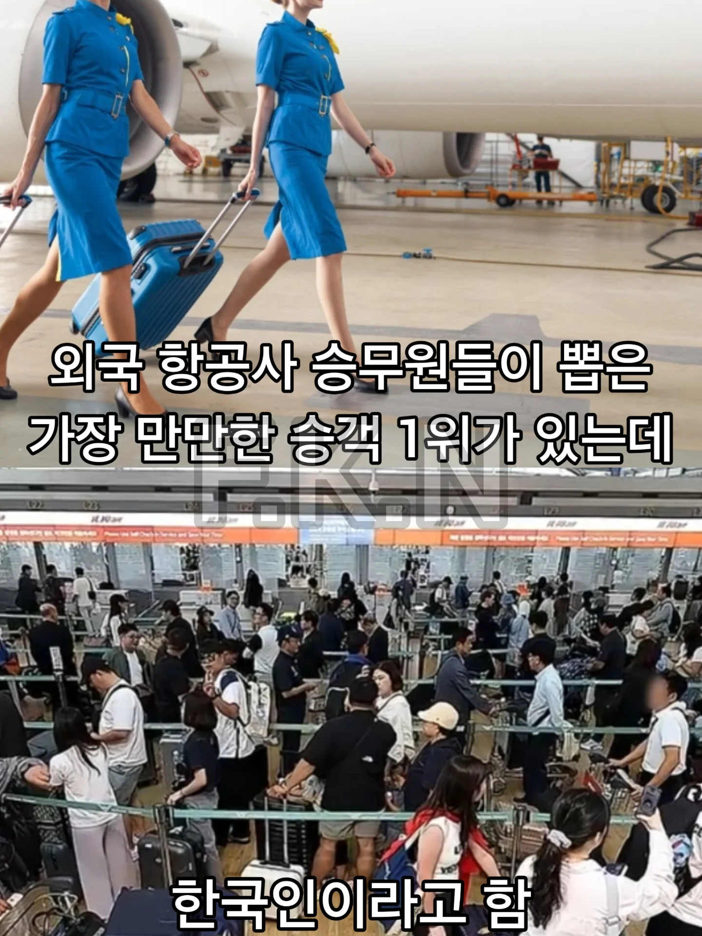 외국 승무원들이 뽑은 '가장 만만한 승객' 1위는 한국인 | 인스티즈