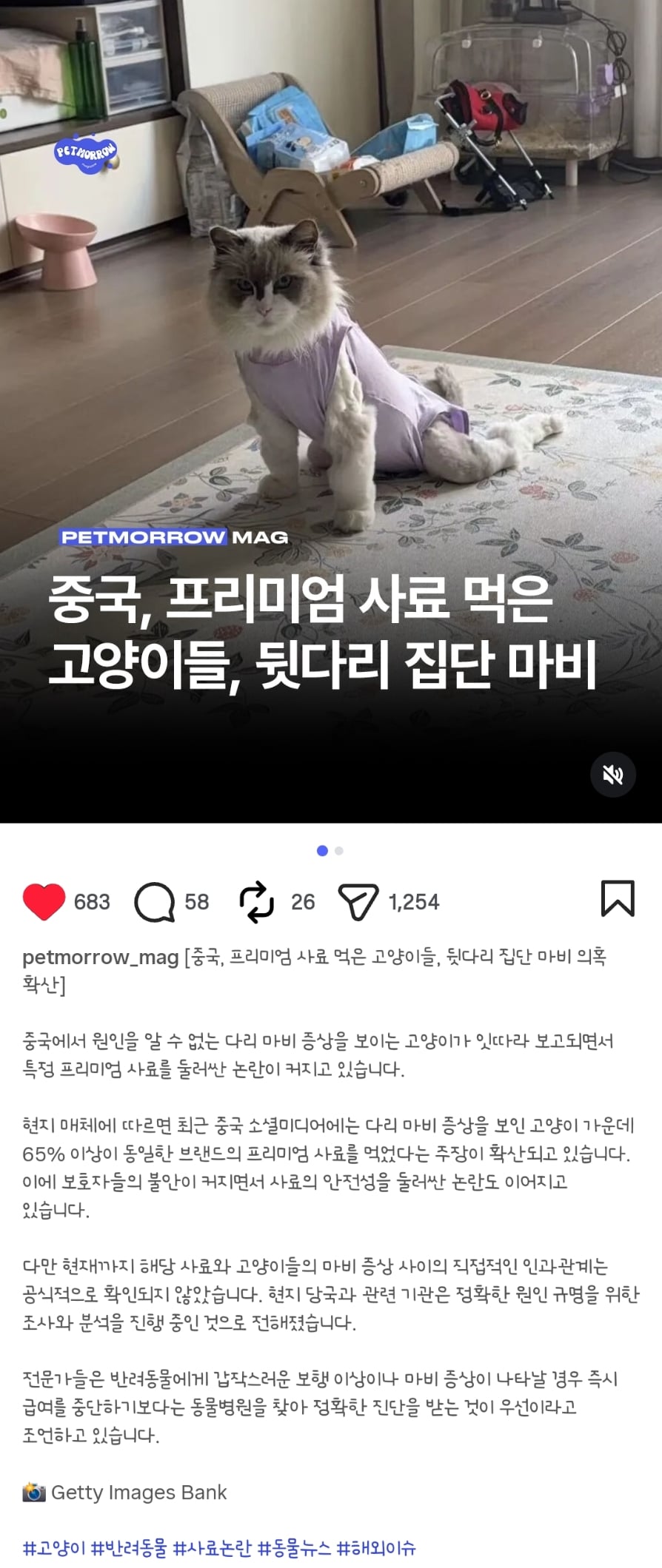 '프리미엄 사료' 먹은 고양이들 다리 마비 속출... 중국 발칵 | 인스티즈