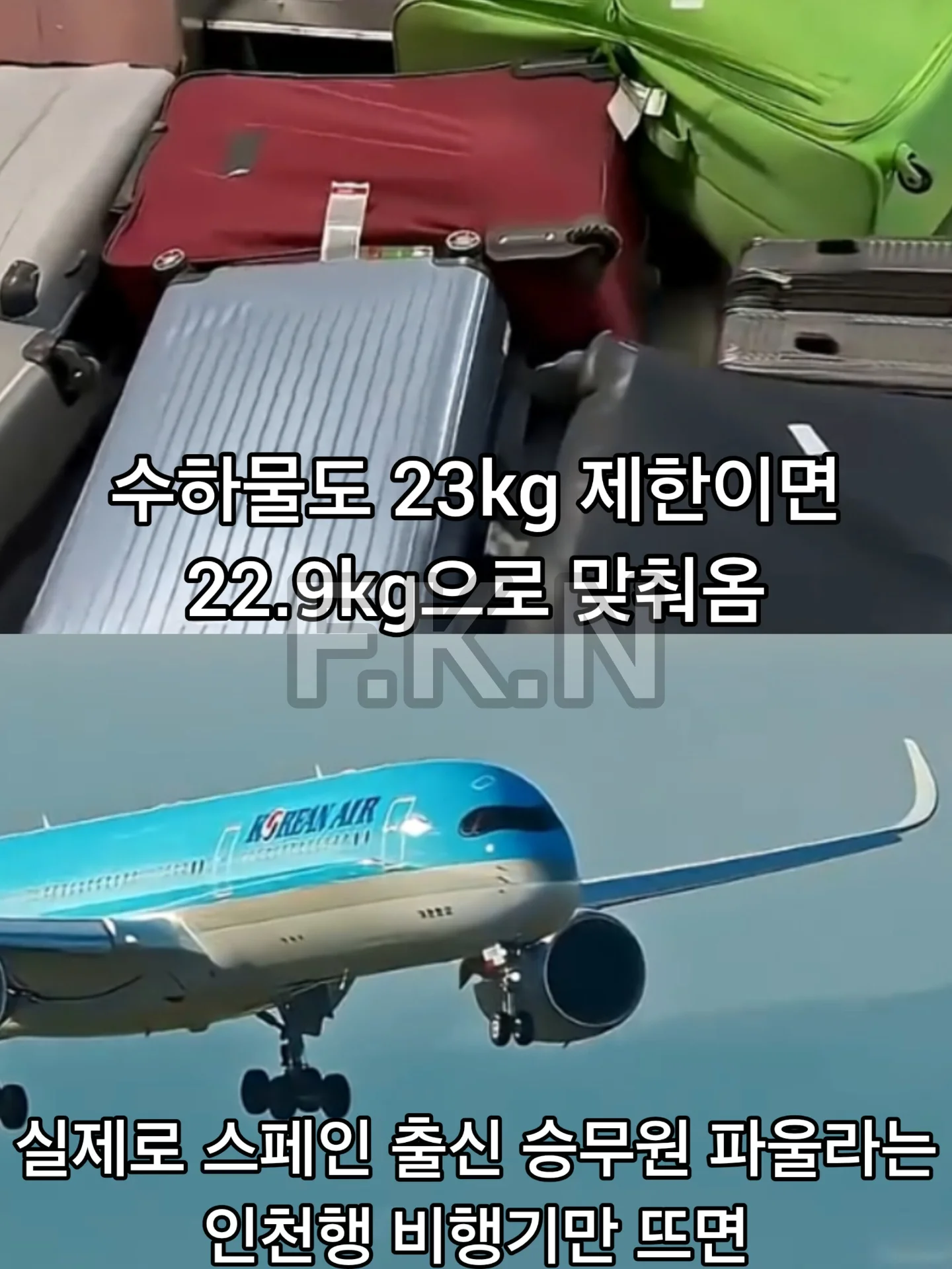 외국 승무원들이 뽑은 '가장 만만한 승객' 1위는 한국인 | 인스티즈