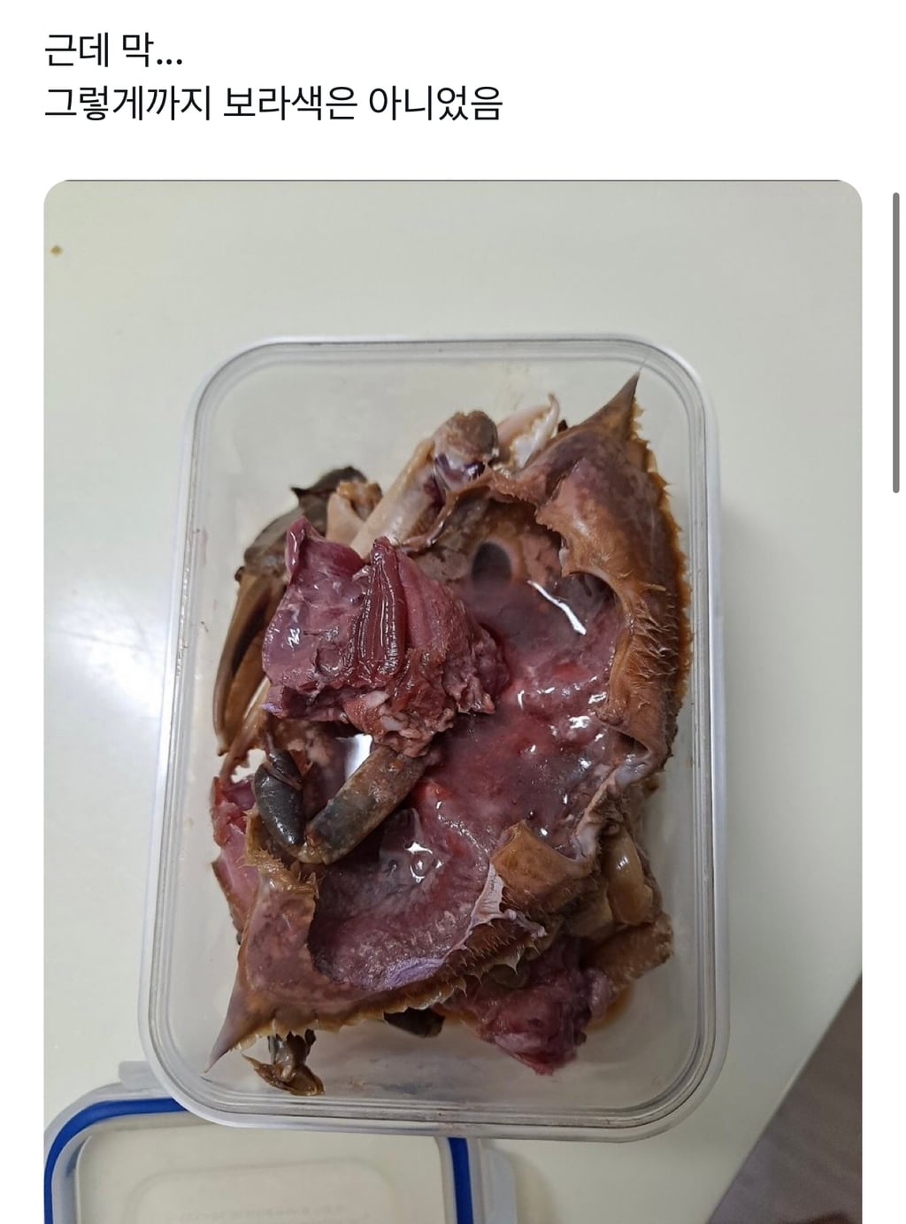 간장게장 vs 광어회 vs 웨지감자 셋 중 하나만 먹어야한다면? | 인스티즈