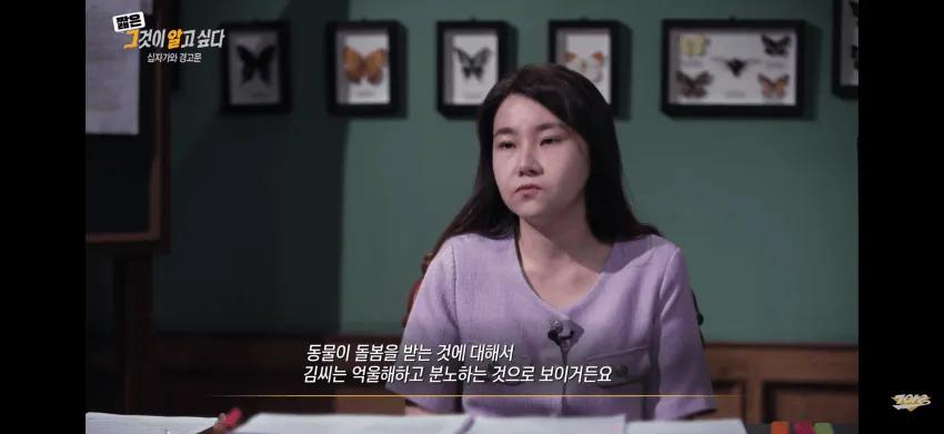 길고양이 혐오는 여러 원인들이 얽혀있다 | 인스티즈
