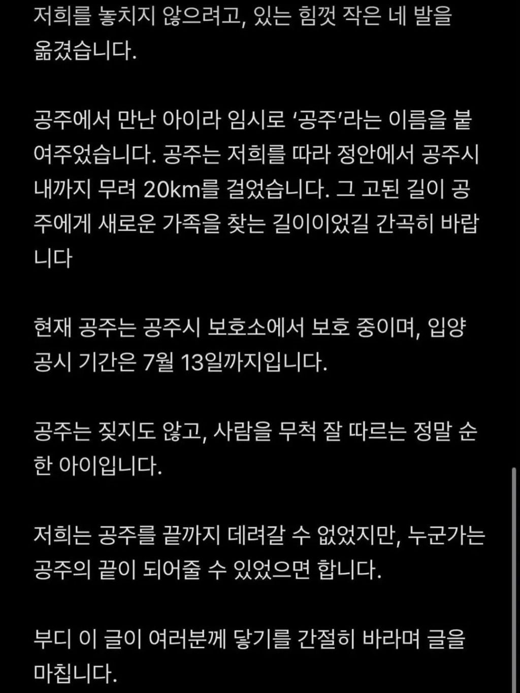 (입양홍보)주인에게 버려지고 지나가는 사람들을 놓치지 않으려 20km 넘게 따라온 강아지 | 인스티즈
