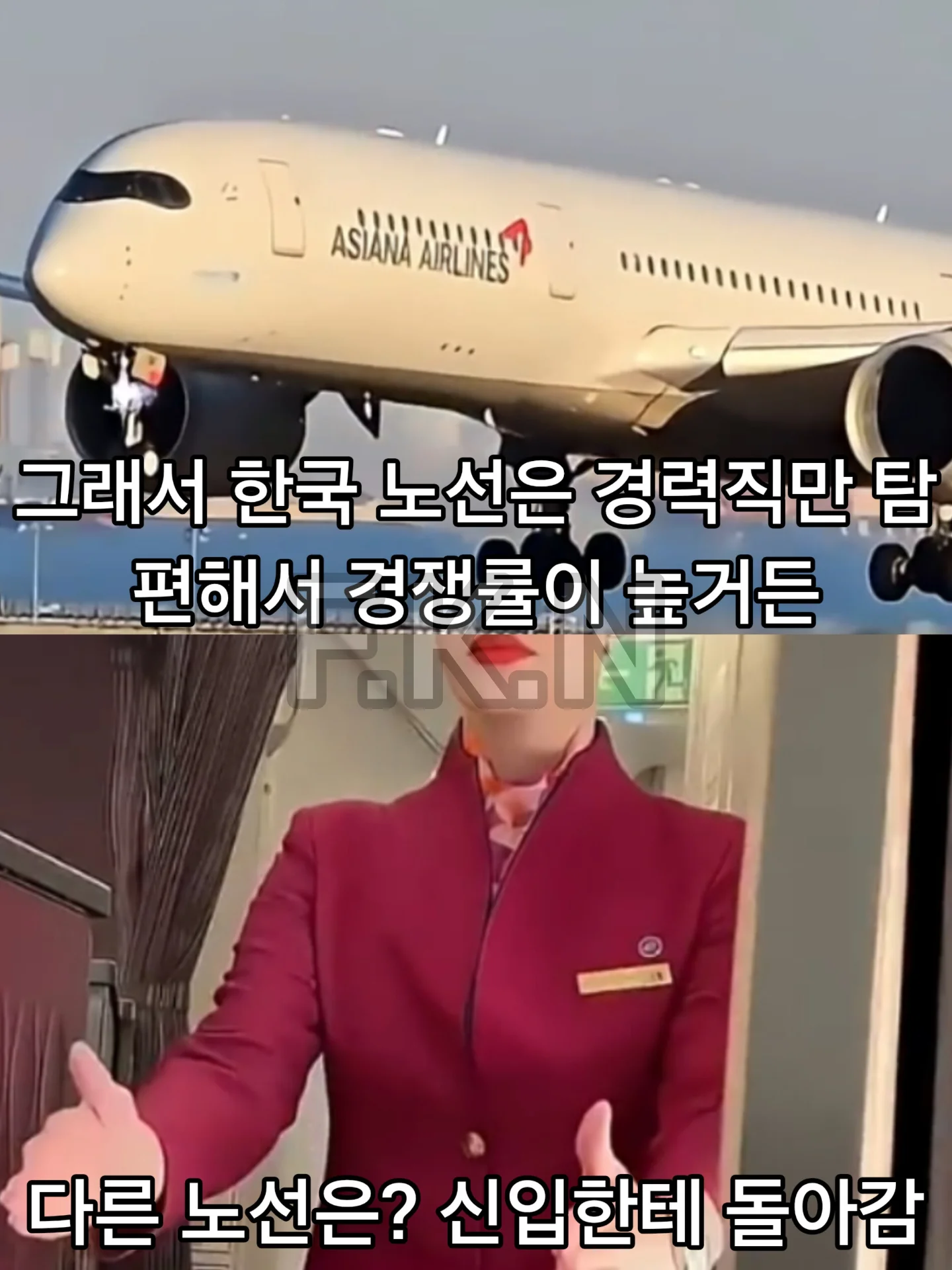외국 승무원들이 뽑은 '가장 만만한 승객' 1위는 한국인 | 인스티즈