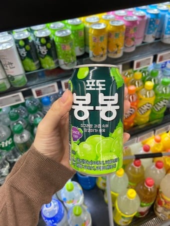 알갱이 음료중 최애는?????? | 인스티즈