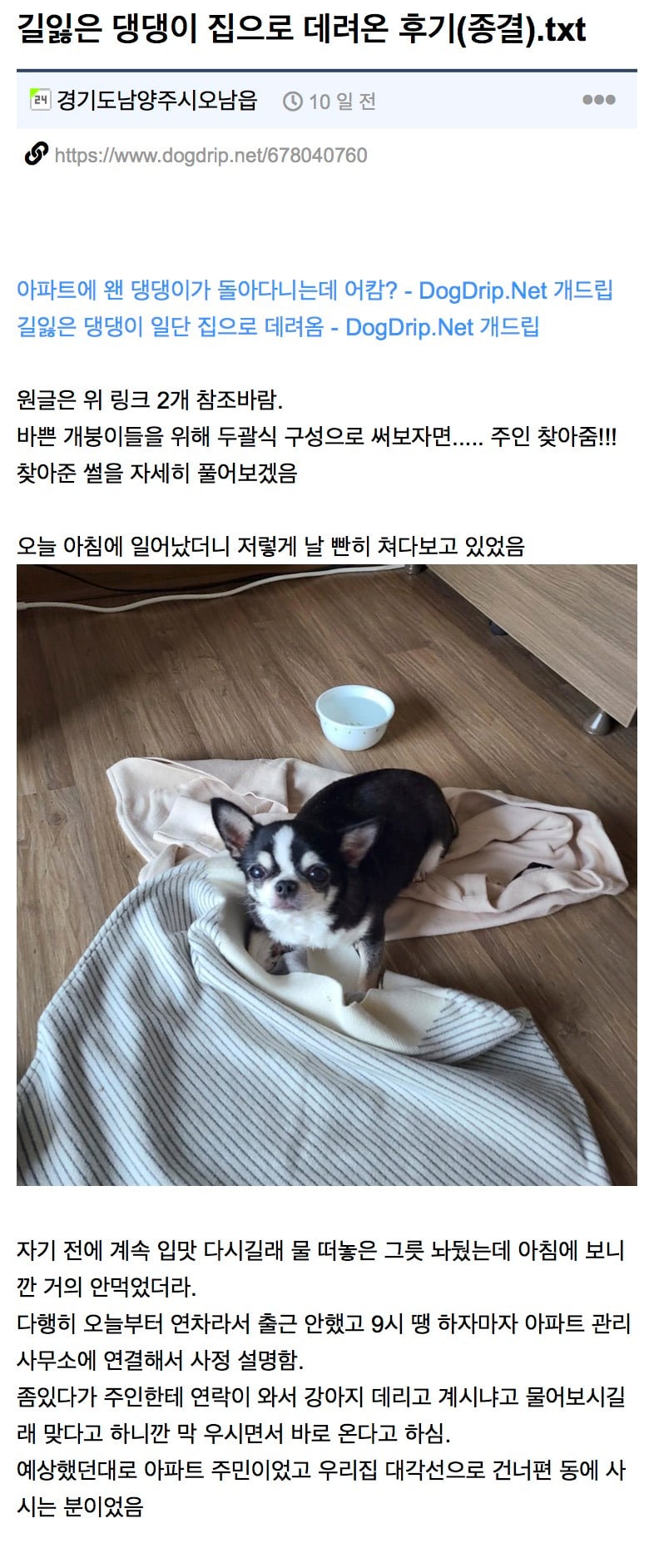 길잃은 뚱쭝 치와와 주인 찾아준 개드립인 | 인스티즈