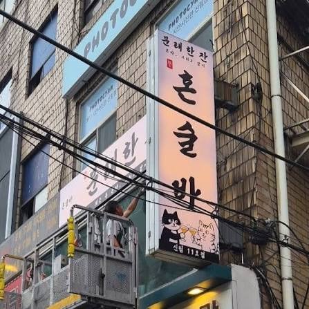 요즘 유행하는 혼술바에 찐따가 들어가면 안되는 이유 | 인스티즈