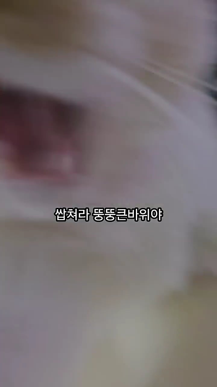빼빼하다니까 스윗하게 눈키스 해주는 고양이 | 인스티즈