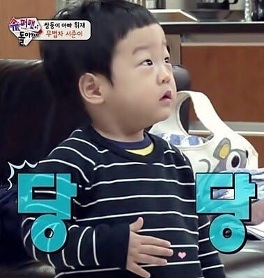 아이돌 공식 응원봉 문화의 시초가 된 가수.txt | 인스티즈