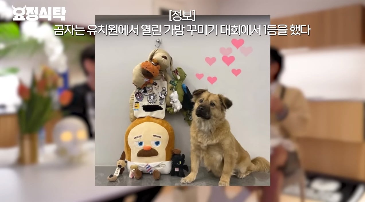 본인도 극성 학부모라는거 알고있는 조승우 | 인스티즈