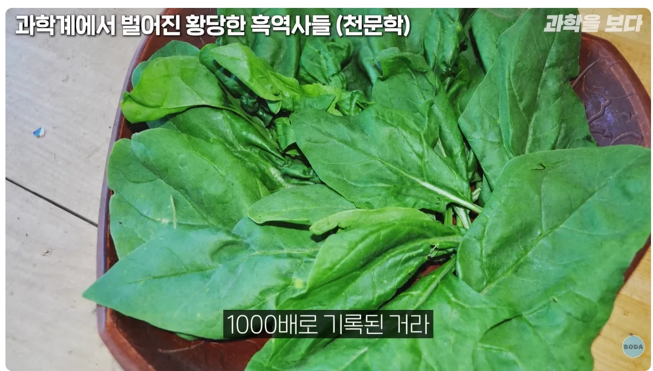 시금치에 철분 없는거 알았어? | 인스티즈