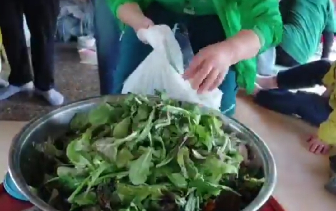 할머니들이 모여서 만든 랜덤 비빔밥.twt | 인스티즈