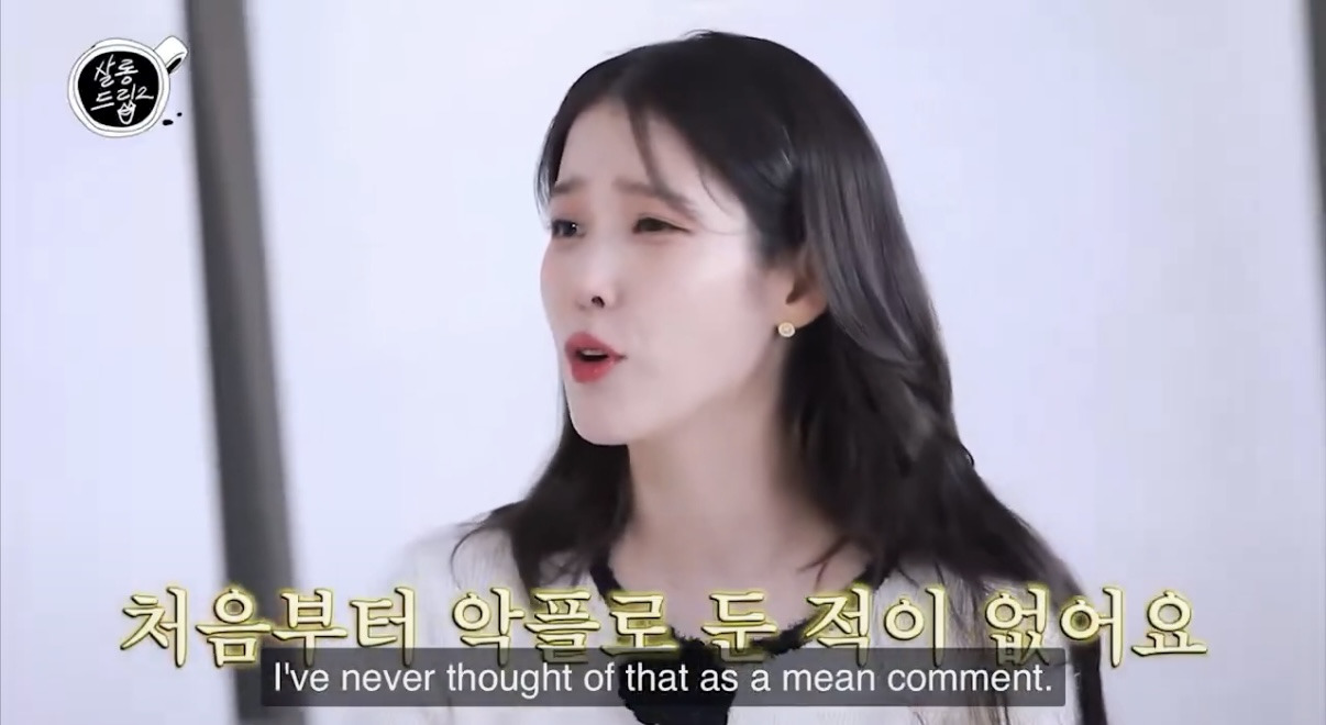 연예인이 고소하는 악플의 기준(feat.아이유) | 인스티즈