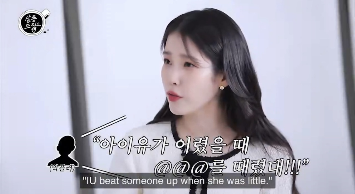 연예인이 고소하는 악플의 기준(feat.아이유) | 인스티즈