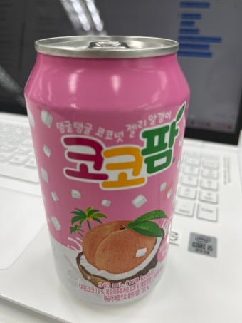 알갱이 음료중 최애는?????? | 인스티즈