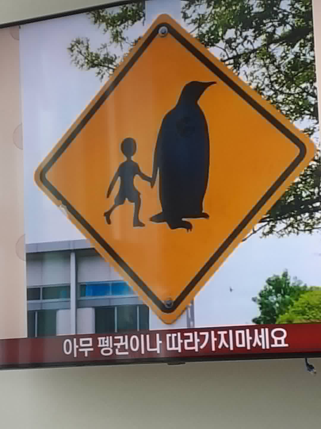 귀엽고 재밌는 짤 모음 | 인스티즈