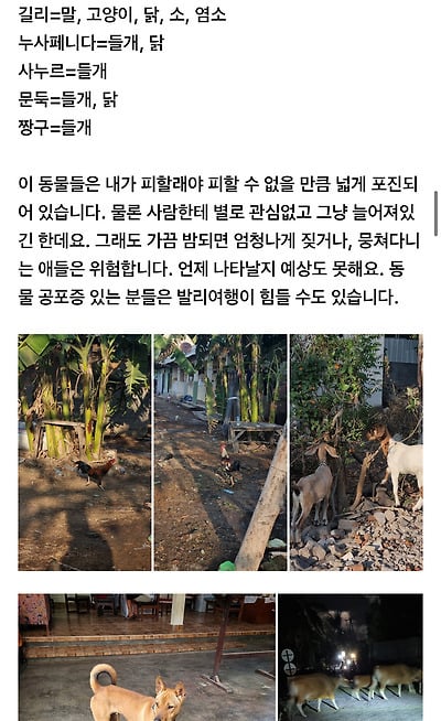 발리 여행카페 공지로 등록된발리에 여행가면 안되는 유형인 사람들.jpg | 인스티즈