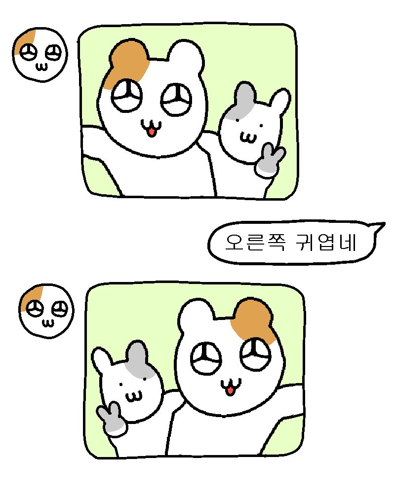 귀엽고 재밌는 짤 모음 | 인스티즈