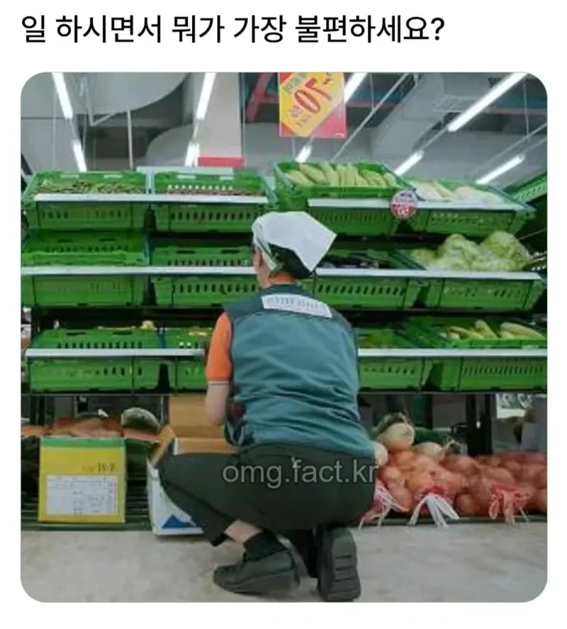 일 하면서 뭐가 가장 불편하세요? | 인스티즈